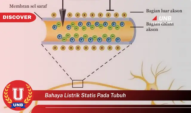 bahaya listrik statis pada tubuh