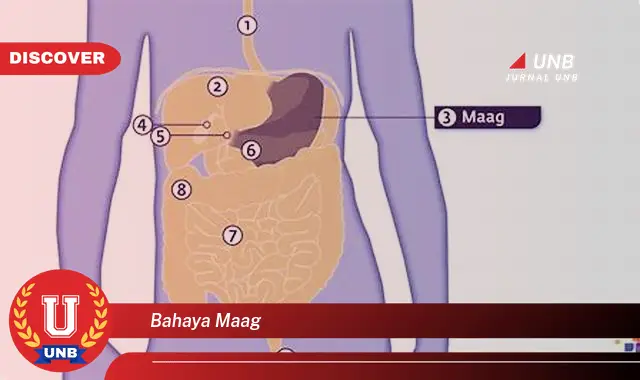 bahaya maag