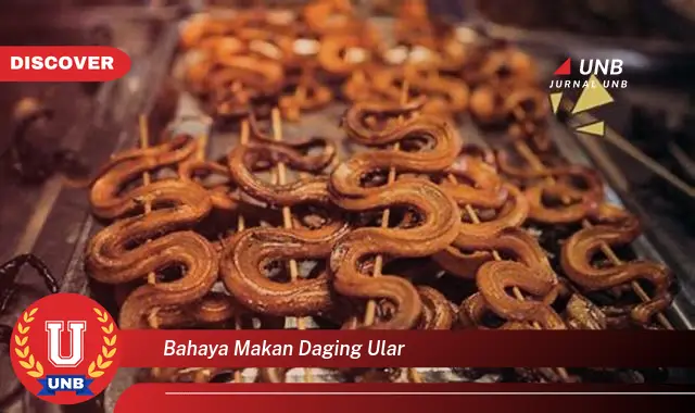 bahaya makan daging ular