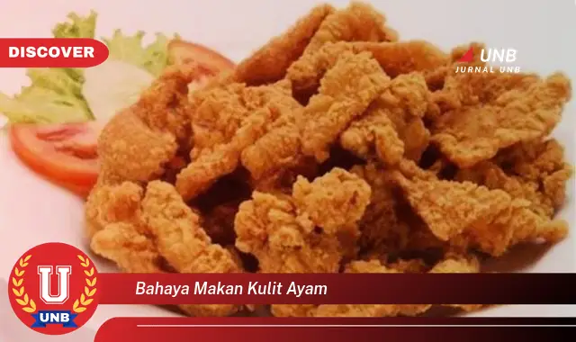 bahaya makan kulit ayam bahaya makan kulit ayam