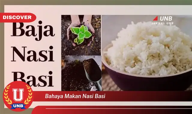 bahaya makan nasi basi bahaya makan nasi basi