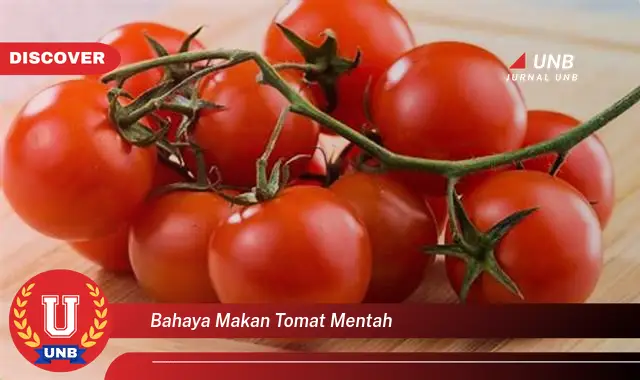 bahaya makan tomat mentah bahaya makan tomat mentah