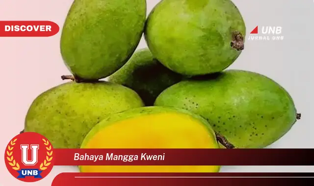 bahaya mangga kweni bahaya mangga kweni