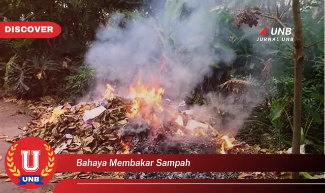 bahaya membakar sampah