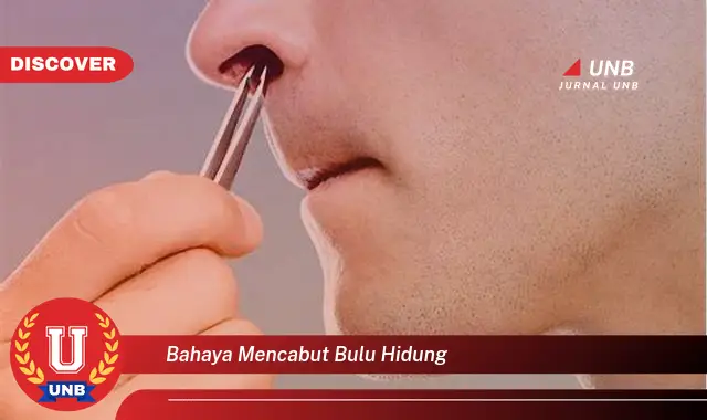 bahaya mencabut bulu hidung bahaya mencabut bulu hidung