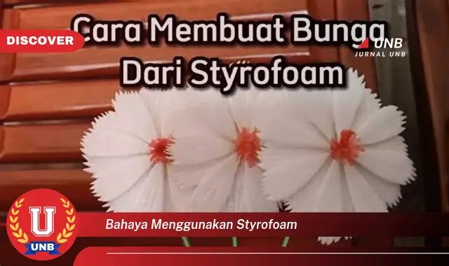 bahaya menggunakan styrofoam bahaya menggunakan styrofoam