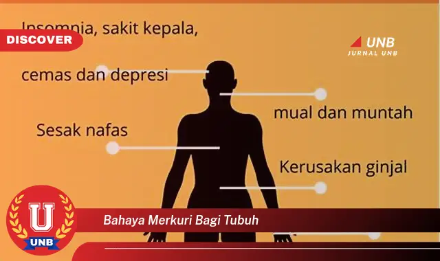 bahaya merkuri bagi tubuh bahaya merkuri bagi tubuh
