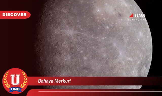 bahaya merkuri bahaya merkuri