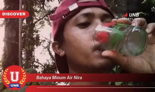 bahaya minum air nira