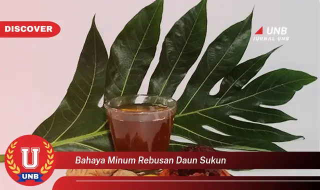 bahaya minum rebusan daun sukun