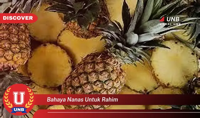 bahaya nanas untuk rahim