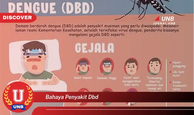 bahaya penyakit dbd bahaya penyakit dbd