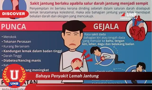 bahaya penyakit lemah jantung