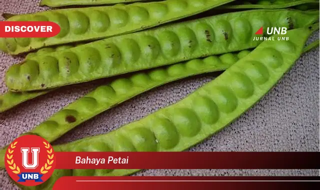 bahaya petai bahaya petai