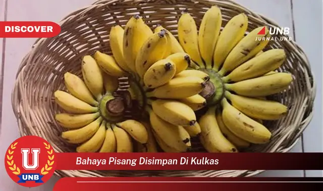 bahaya pisang disimpan di kulkas