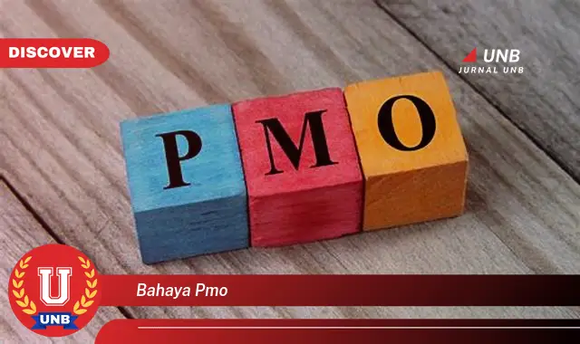 bahaya pmo