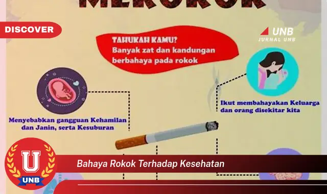 bahaya rokok terhadap kesehatan bahaya rokok terhadap kesehatan