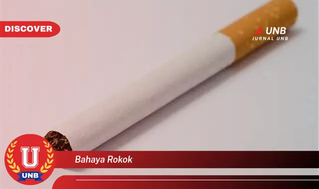bahaya rokok bahaya rokok