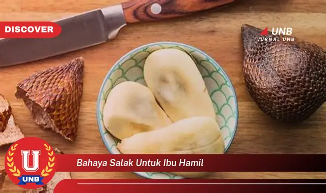 bahaya salak untuk ibu hamil bahaya salak untuk ibu hamil