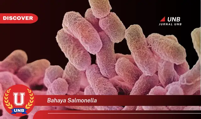 bahaya salmonella