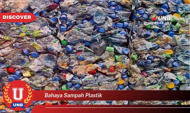 bahaya sampah plastik bahaya sampah plastik