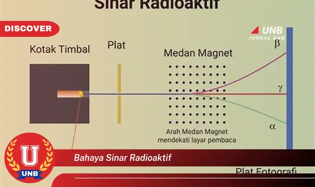 bahaya sinar radioaktif bahaya sinar radioaktif