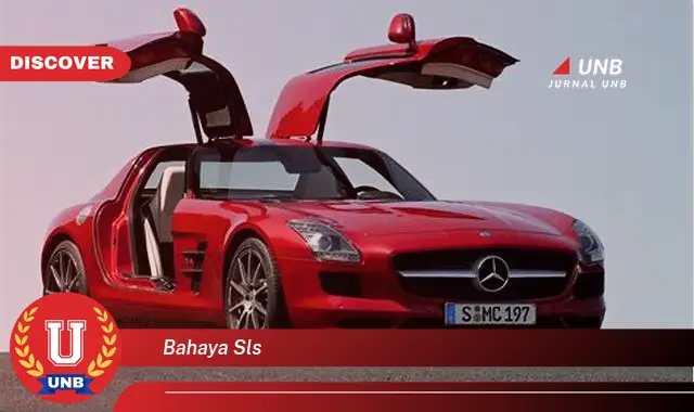 bahaya sls bahaya sls