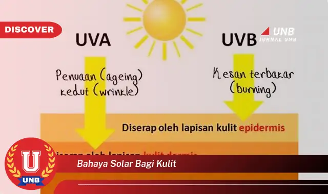 bahaya solar bagi kulit