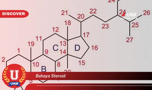 bahaya steroid bahaya steroid