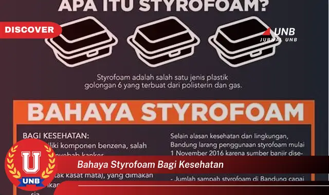 bahaya styrofoam bagi kesehatan bahaya styrofoam bagi kesehatan