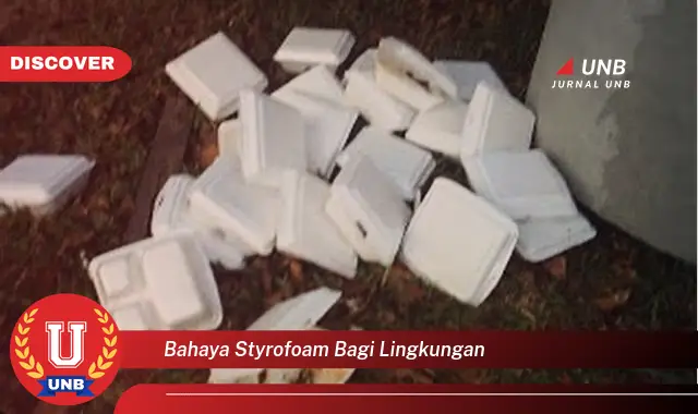 bahaya styrofoam bagi lingkungan