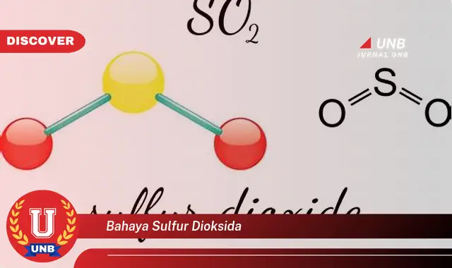 bahaya sulfur dioksida