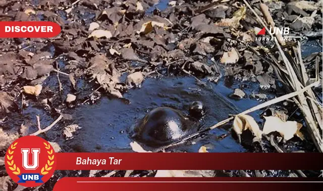 bahaya tar bahaya tar