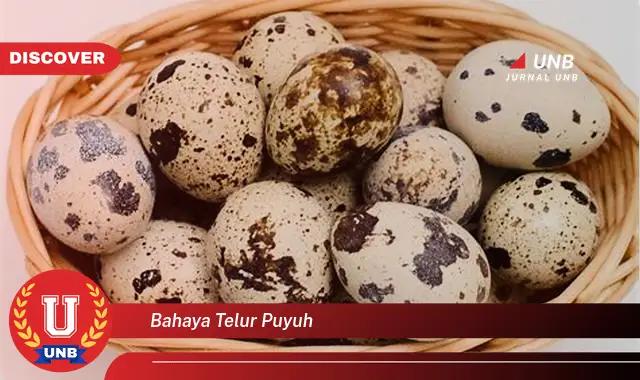 bahaya telur puyuh bahaya telur puyuh