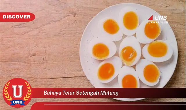 bahaya telur setengah matang bahaya telur setengah matang