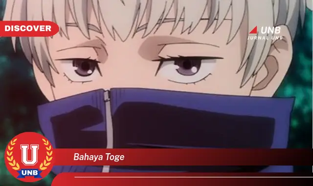 bahaya toge bahaya toge