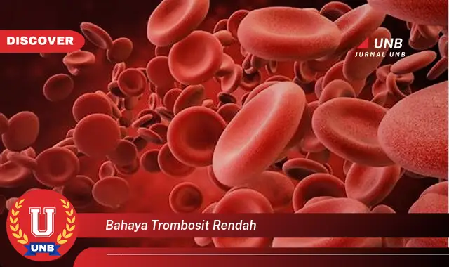 bahaya trombosit rendah