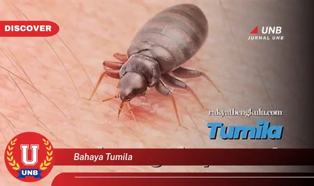 bahaya tumila