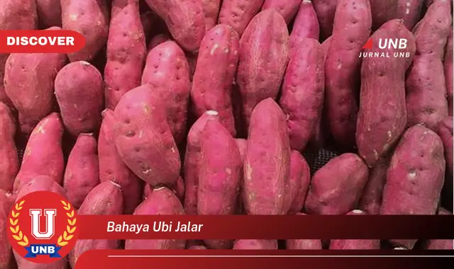 bahaya ubi jalar