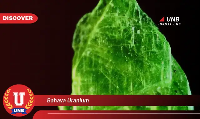 bahaya uranium bahaya uranium