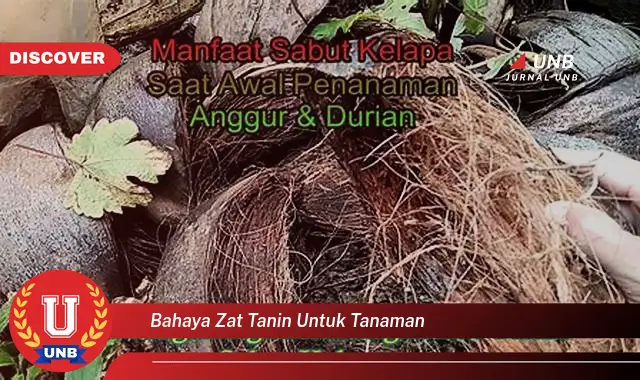 bahaya zat tanin untuk tanaman bahaya zat tanin untuk tanaman
