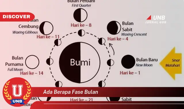 ada berapa fase bulan