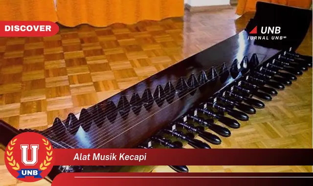 alat musik kecapi