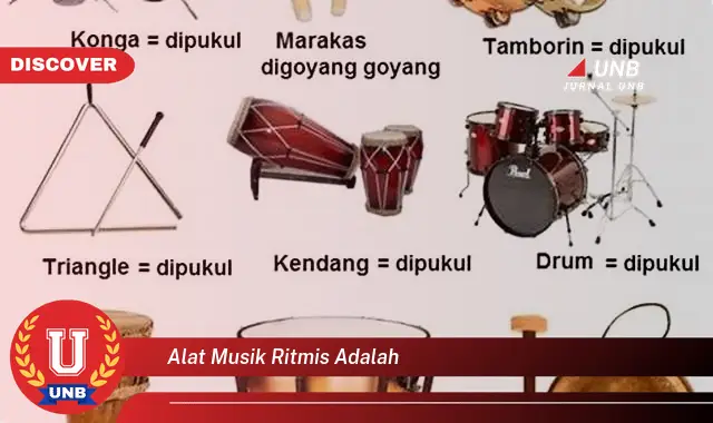 alat musik ritmis adalah