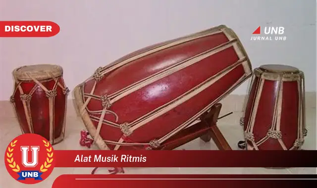 alat musik ritmis