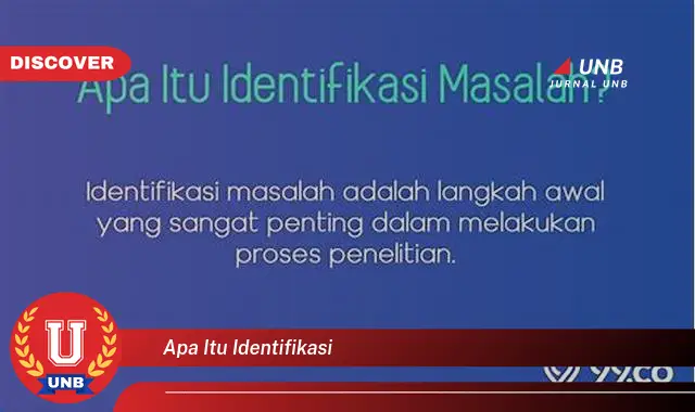 apa itu identifikasi