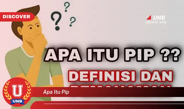 apa itu pip