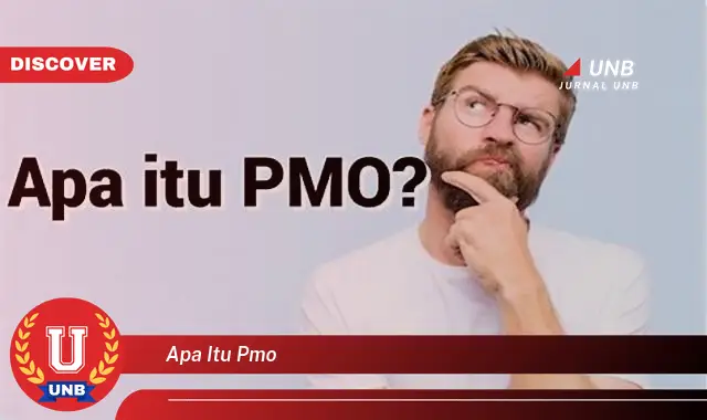 apa itu pmo