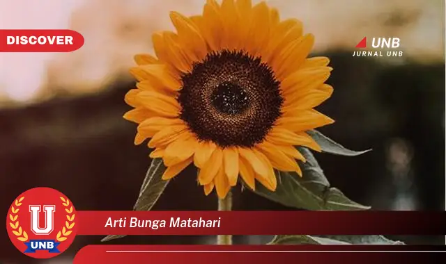 arti bunga matahari