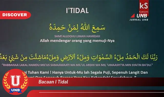 bacaan i tidal